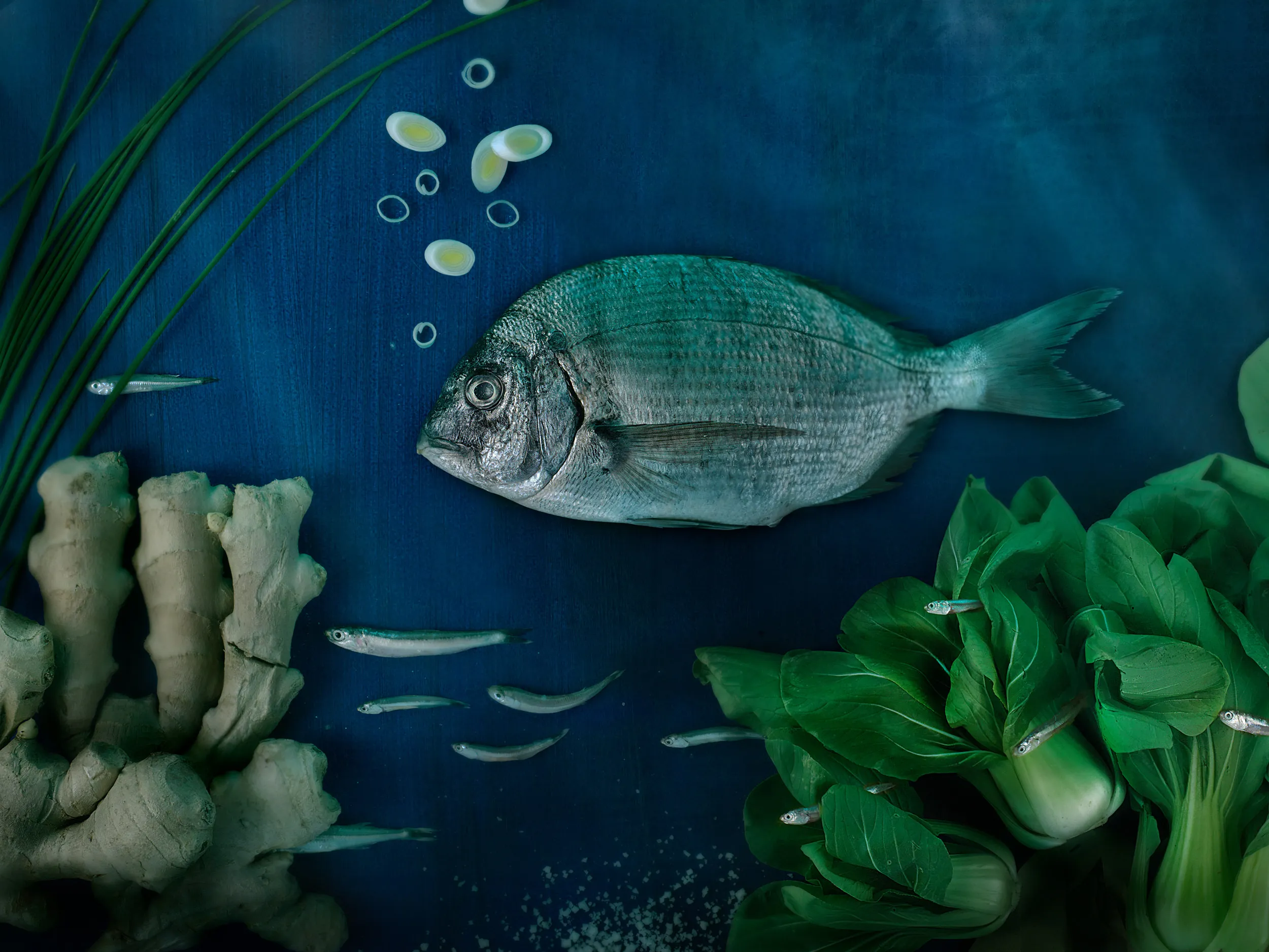 Still-life e prodotto · Different Studio