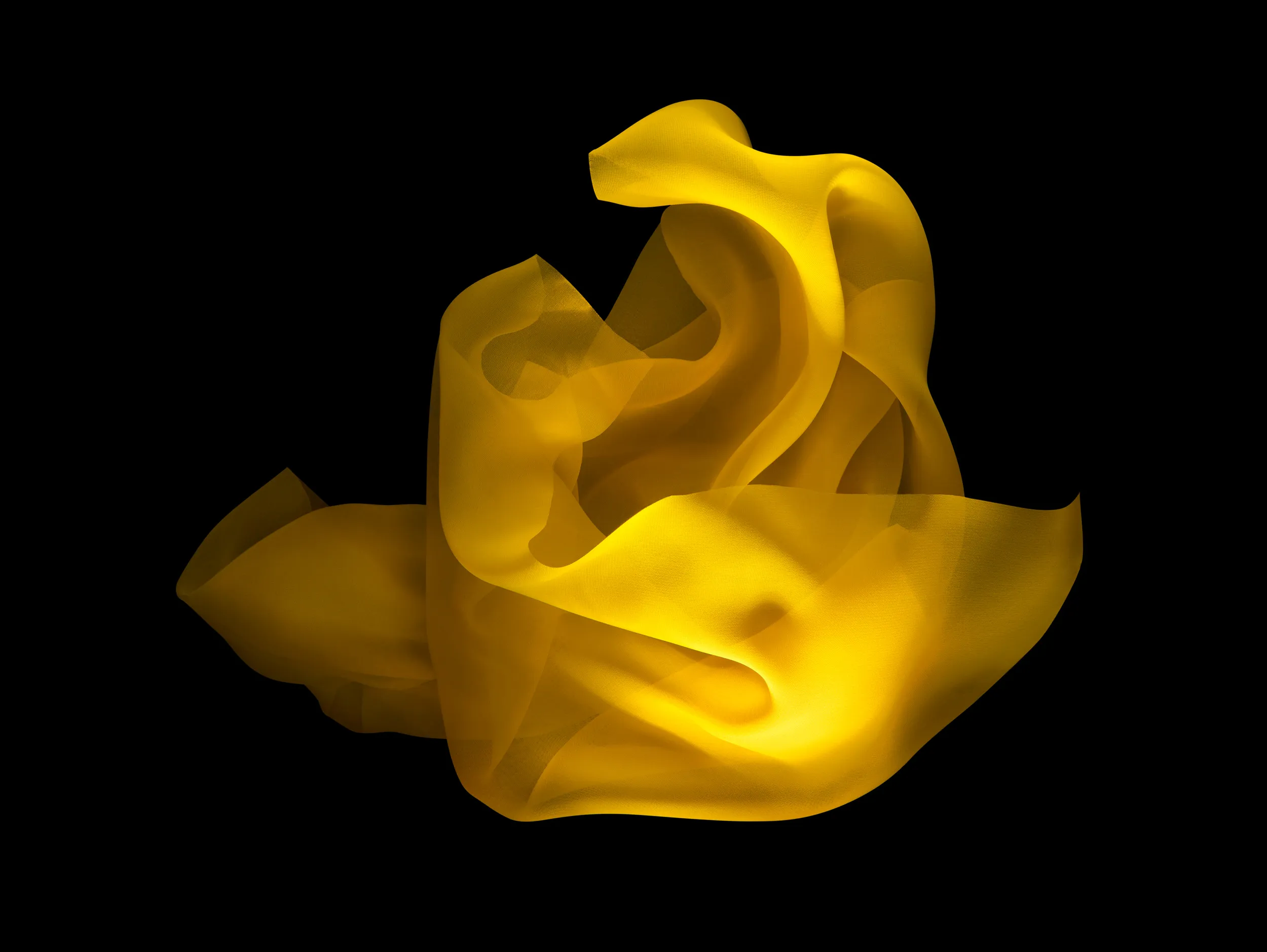 Still-life e prodotto · Different Studio